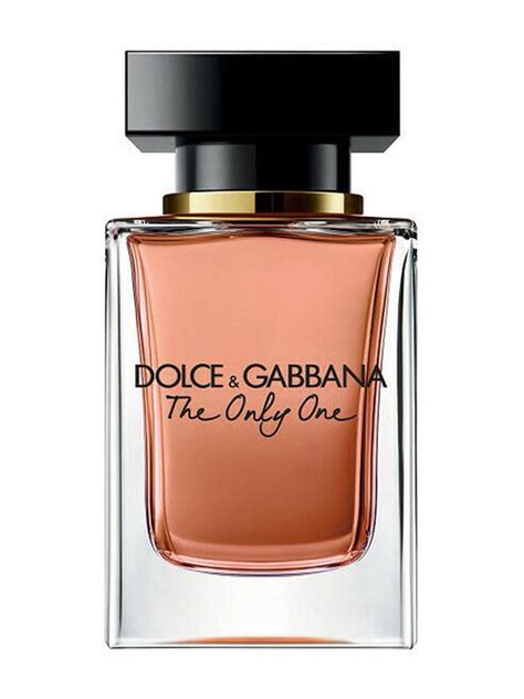 dolce & gabbana gucci|women dolce.